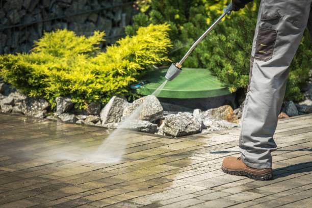 Best Sidewalk and Walkway Cleaning  in Conroe, TX